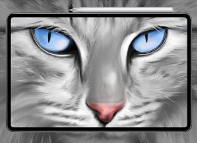 HUAWEI MatePad Pro.jpg