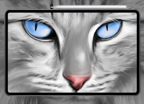 HUAWEI MatePad Pro.jpg