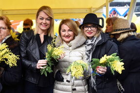 Poznati prodajom mimoza na Cvjetnom trgu prikupljali novac za oboljele od raka dojke