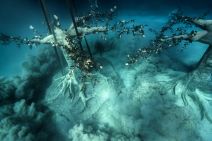 PODVODNI MUZEJ S 93 SKULPTURE Služi za istraživanje, ali i za plivanje