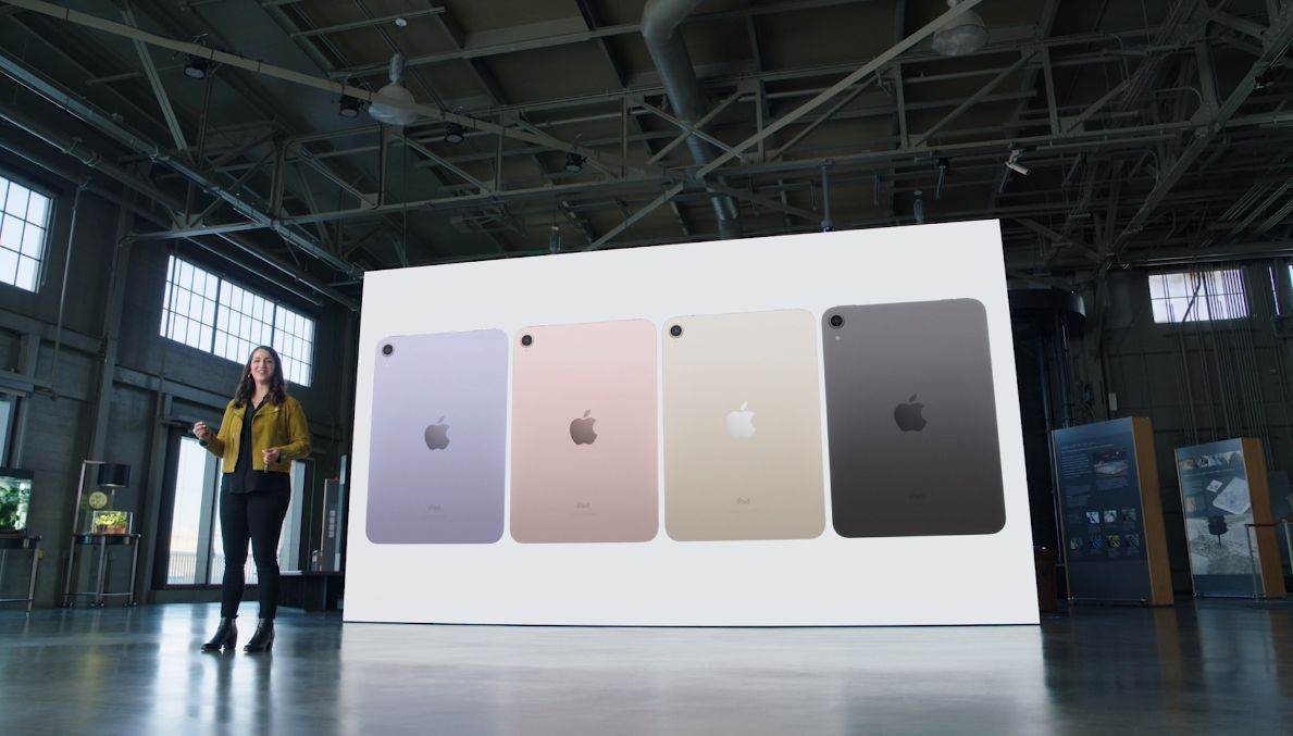 Apple iPad mini (4)