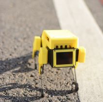 Mini Pupper robot (5)