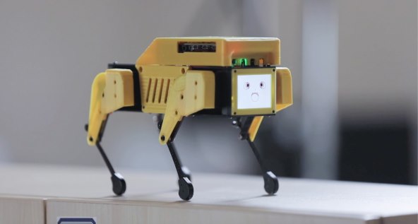Mini Pupper robot (1)
