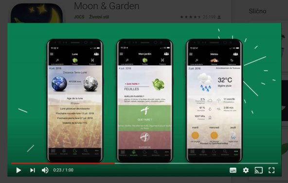 Moon & Garden