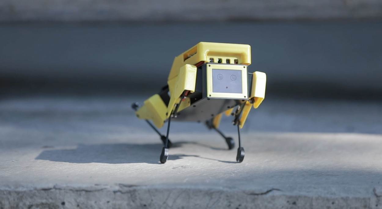 Mini Pupper robot (8)