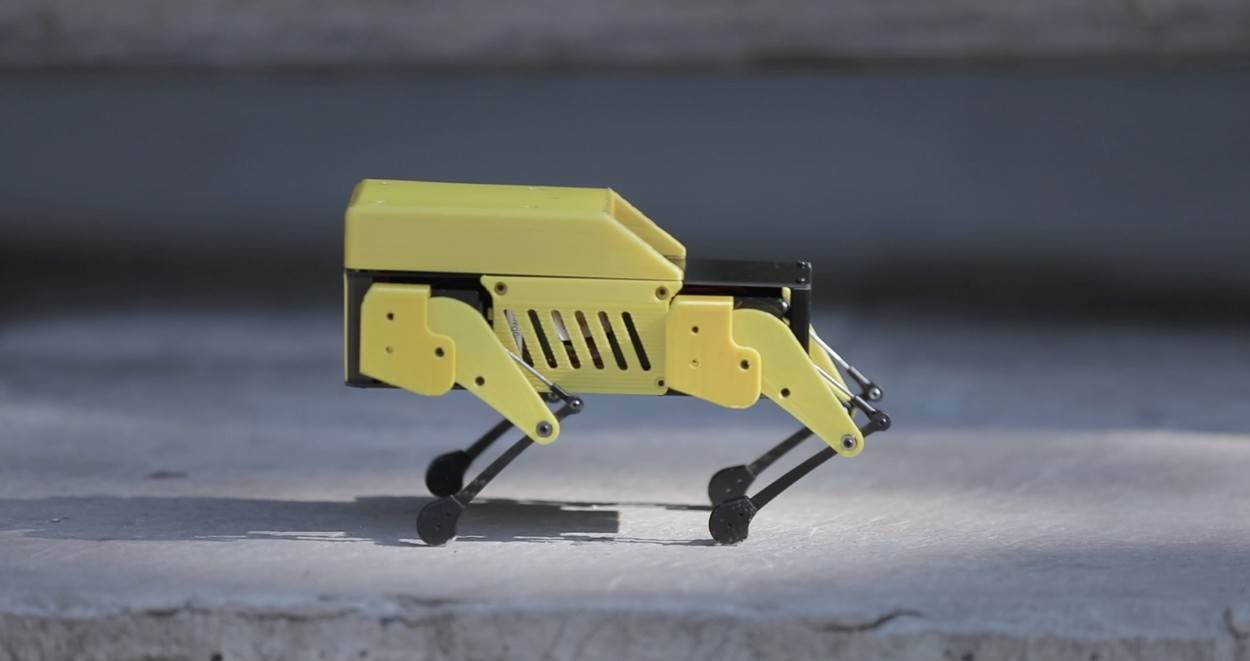 Mini Pupper robot (2)