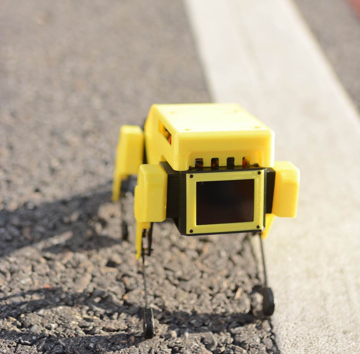 Mini Pupper robot (5)