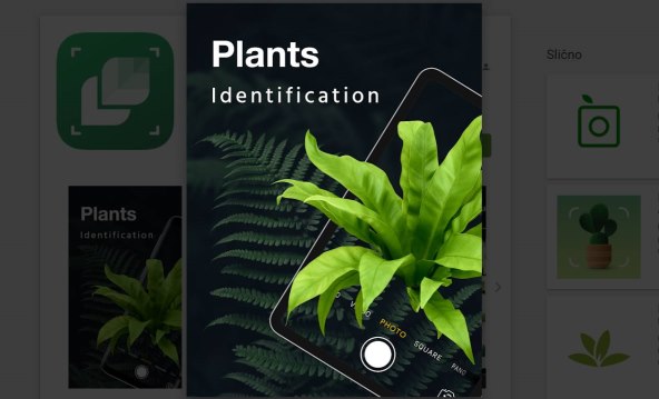LeafSnap - Plant Identification