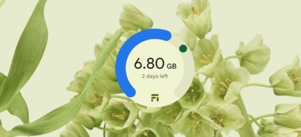 Simple view of your data usage.jpg