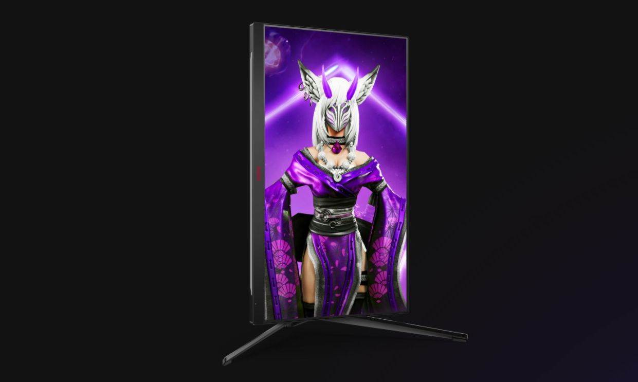 Agon AG274QXM (5).jpg