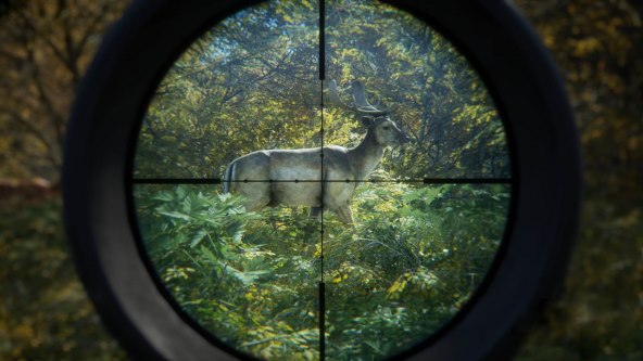 theHunter Call of the Wild (15).jpg