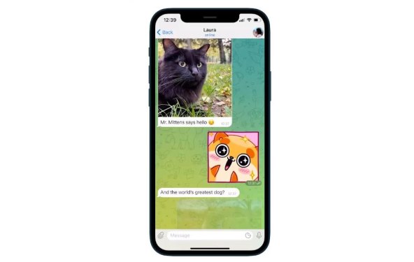 Telegram Instant Media Captions for iOS.jpg