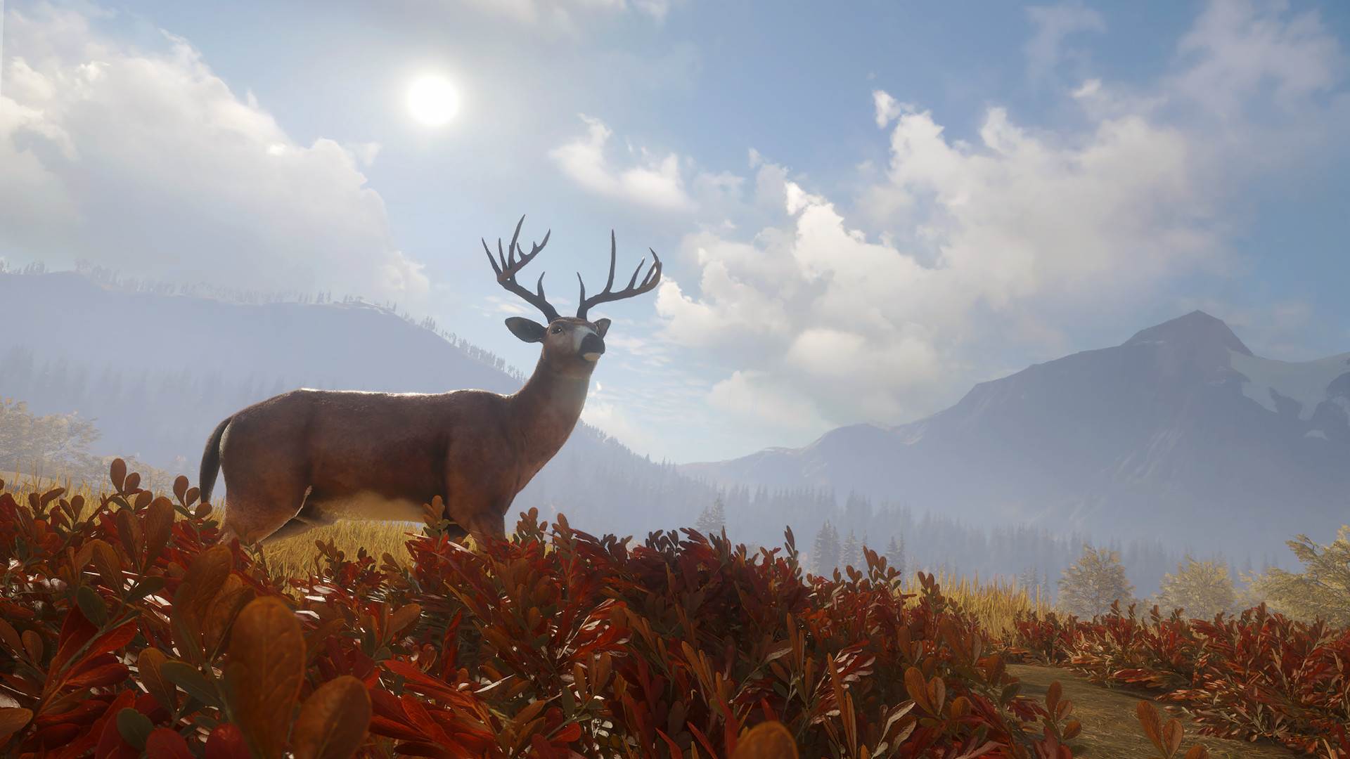 theHunter Call of the Wild (3).jpg