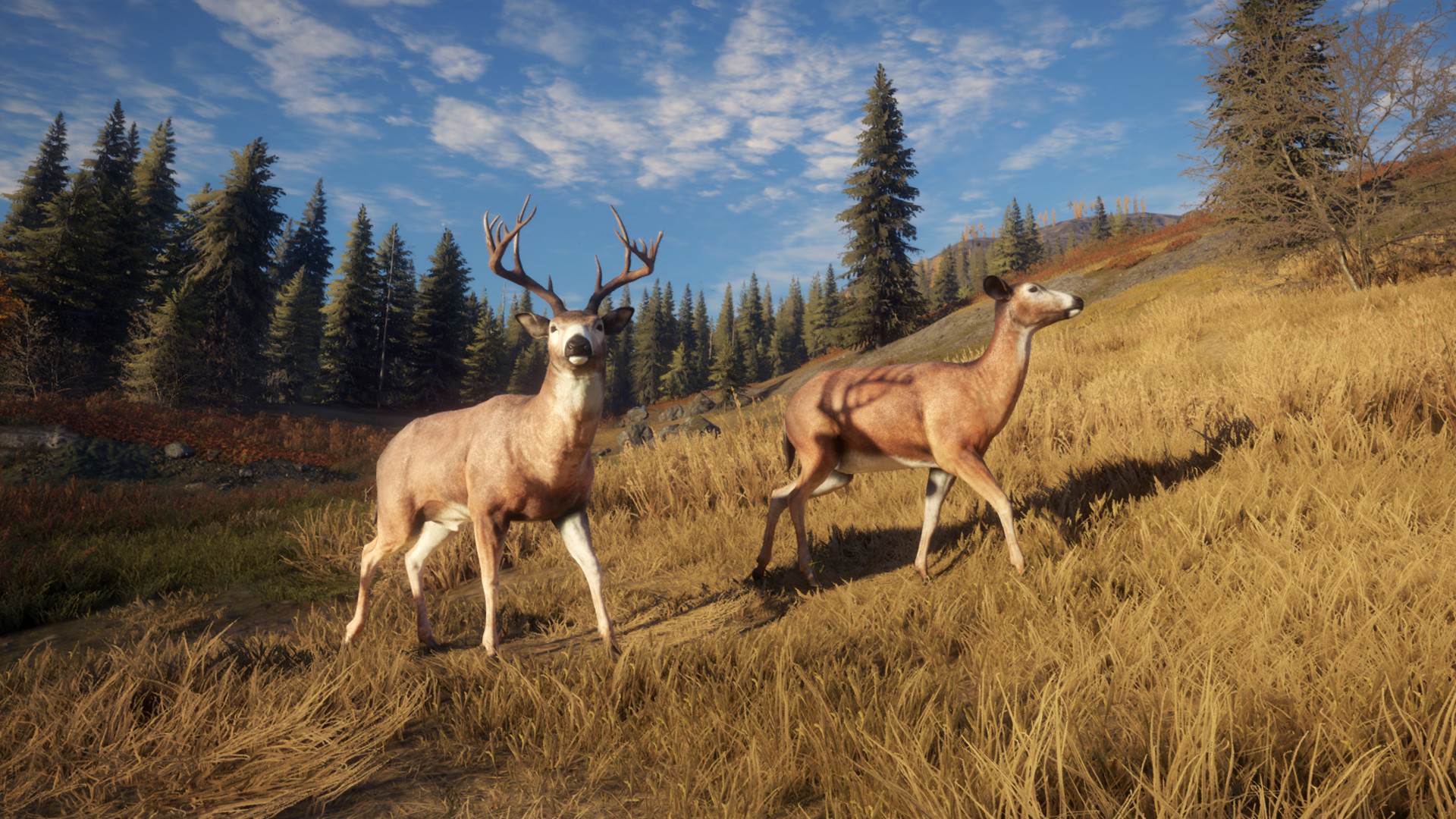 theHunter Call of the Wild (4).jpg