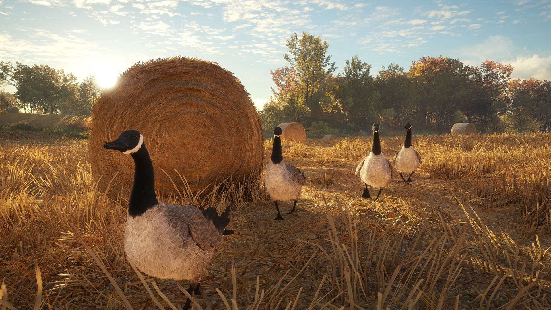 theHunter Call of the Wild (5).jpg