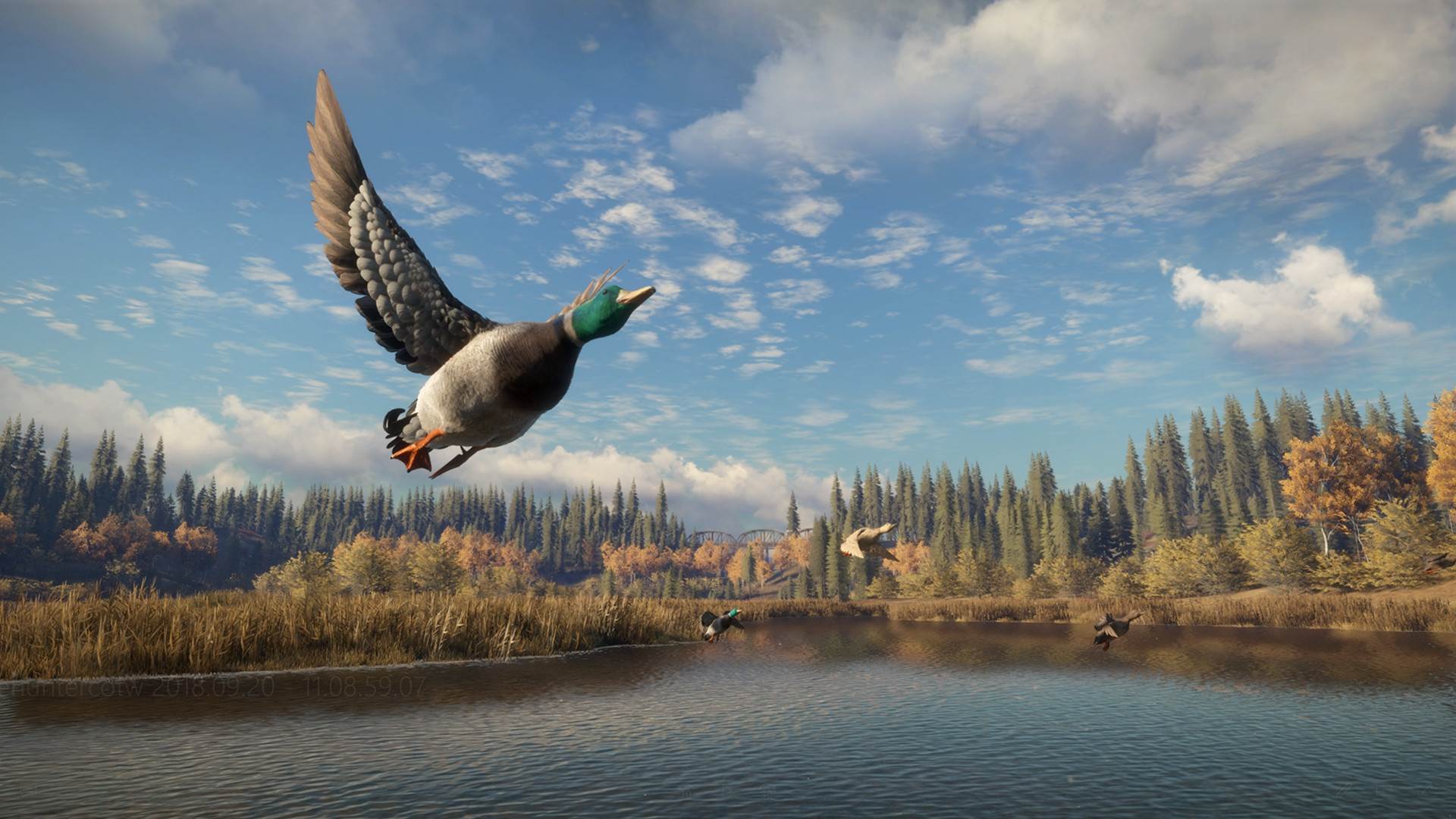 theHunter Call of the Wild (17).jpg