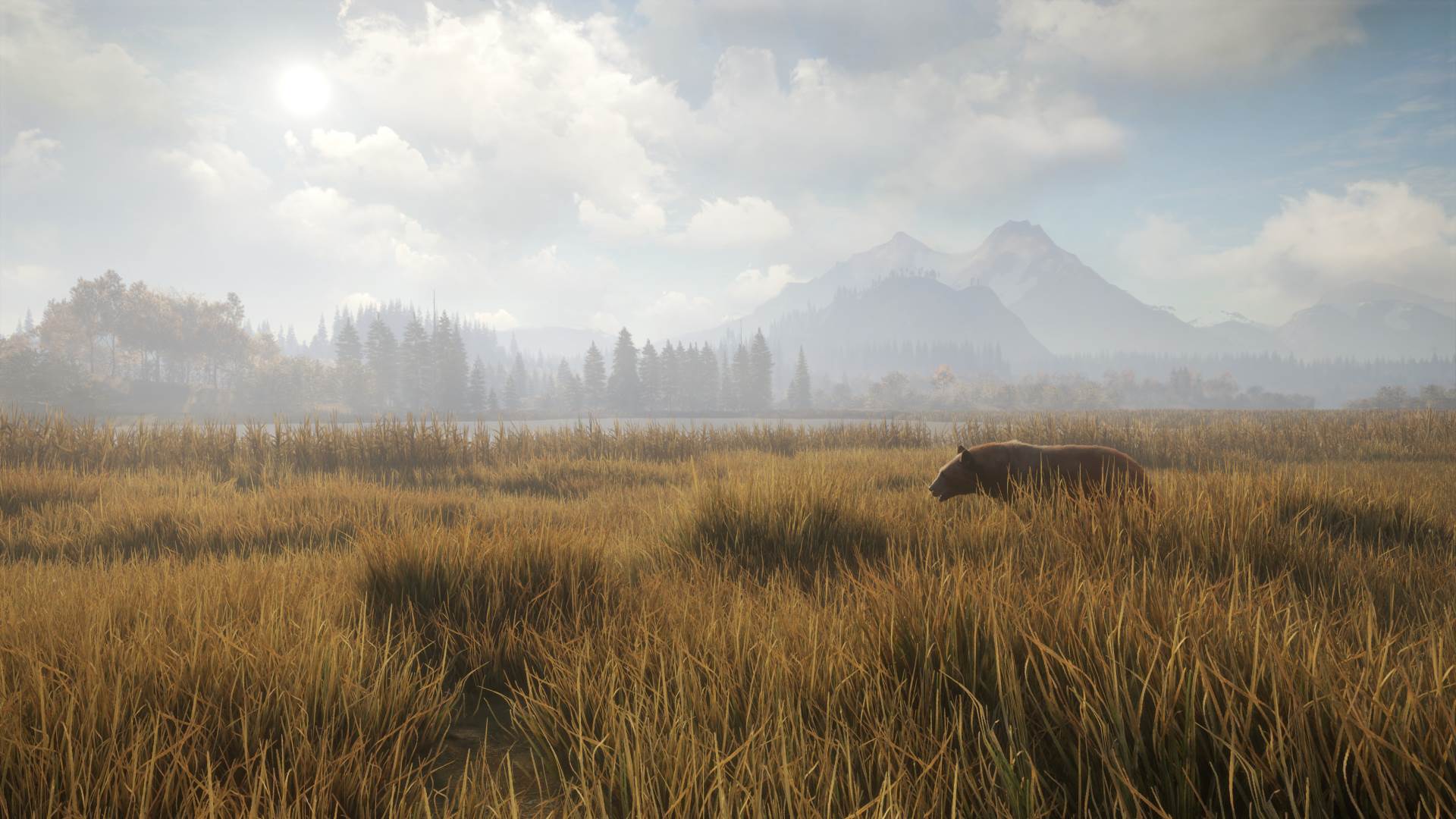 theHunter Call of the Wild (16).jpg