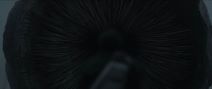 Dune-01.jpg