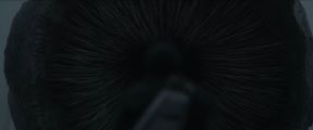 Dune-01.jpg