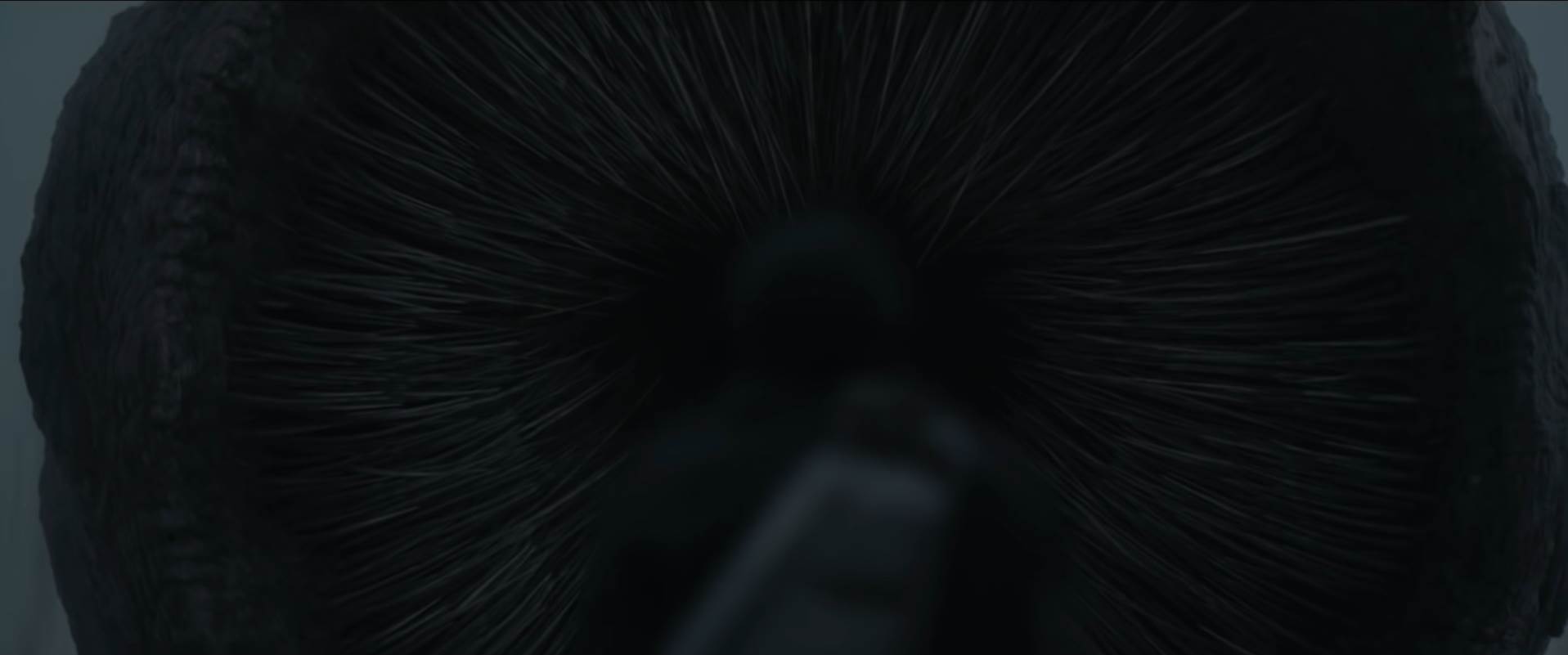 Dune-01.jpg