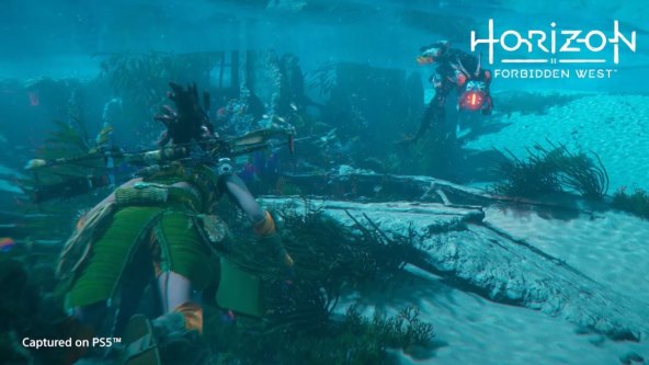 Horizon Forbidden West (3).jpg