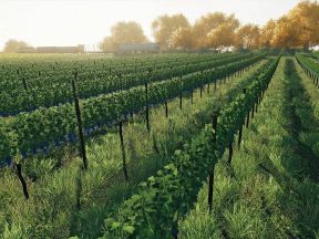 Farming (3).jpg