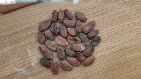 Danas je Svjetski dan čokolade, s nama otkrijte omiljene čoko recepte