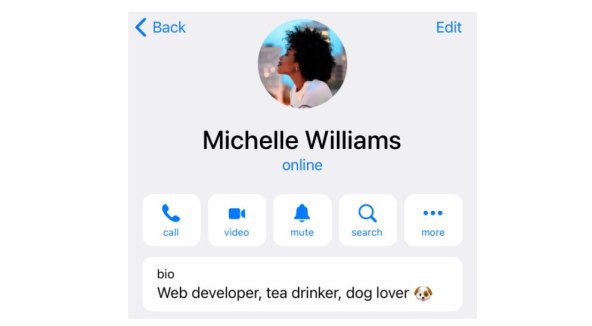 Telegram Redesigned Contact Info on iOS.jpg
