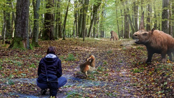 10. Priroda + park Ericsson ConsumerLab.jpg