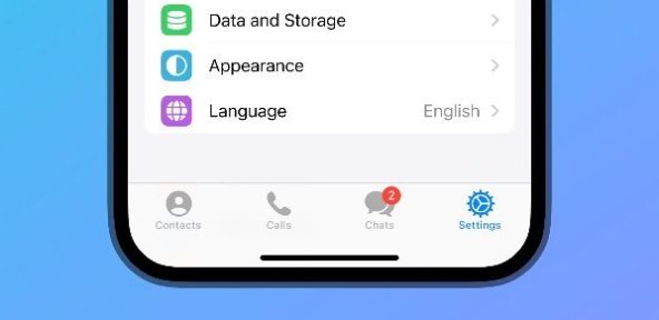 Telegram Bug Busting.jpg