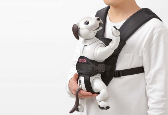 Sony Aibo robot (1).jpg