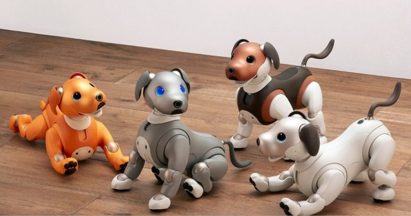 Sony Aibo robot (2).jpg