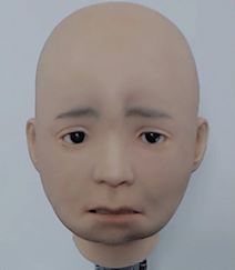 Nikola robot beba (5).jpg