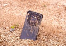 Ulefone Power Armor 14 Pro (3).jpg