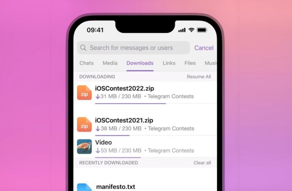 Telegram Download Manager.jpg