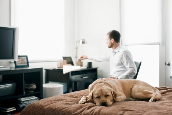 Spavaca soba pas.jpg