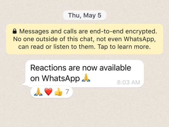 whatsapp-reactions.jpg
