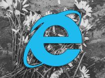 internet-explorer.jpg