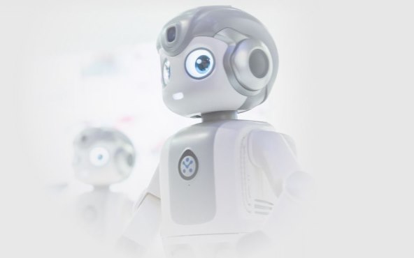 IFA 2022 robot.jpg