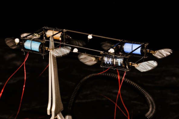 Robot krijesnica (2).jpg