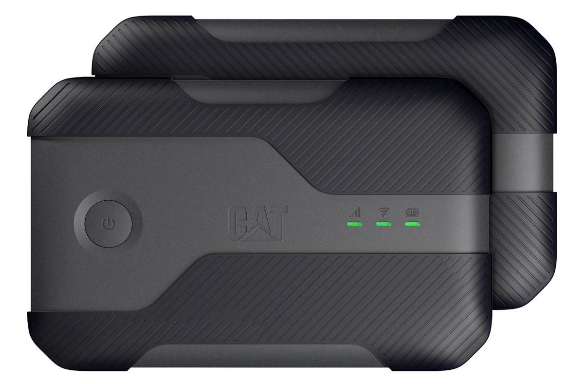 Cat Q10 (7).jpg