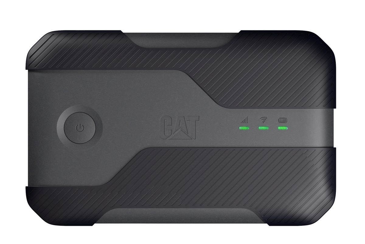 Cat Q10 (1).jpg