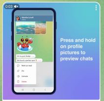 Telegram chat preview (2).jpg
