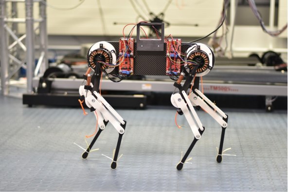 Robot pas Morti (1).jpg