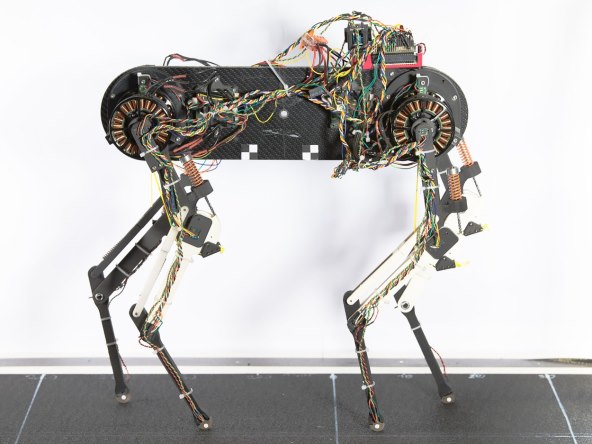 Robot pas Morti (3).jpg