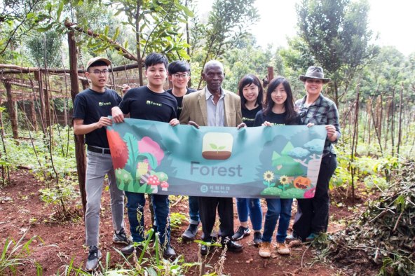 Forest.jpg