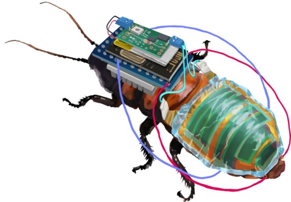 Kiborg žohari robot roboti (1).jpg