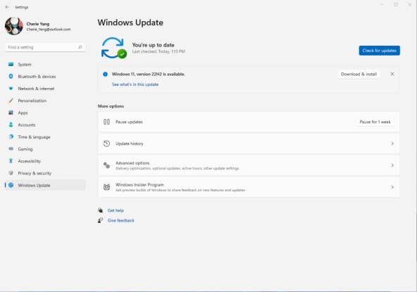 Windows 11version 22H2.jpg