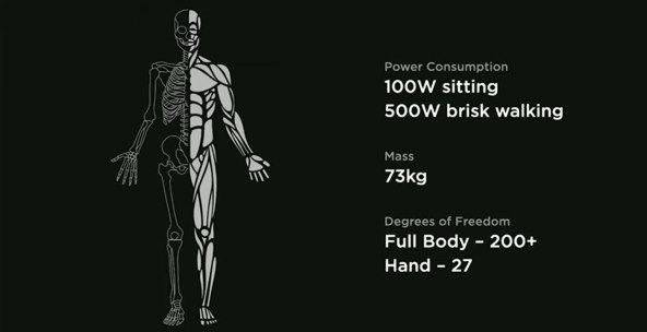 Tesla Optimus (2).jpg