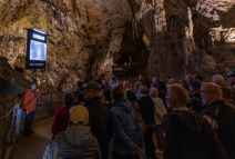 Samsung The_Terrace_Postojna (1).jpg